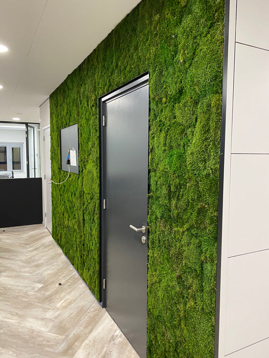 Uniek Product: Mospaneel 260 en 300 cm