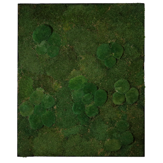 Mosschilderij Rechthoek Staal - Bol & Lappenmos