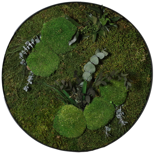 Mosschilderij Cirkel Staal - Jungle Style Kalm