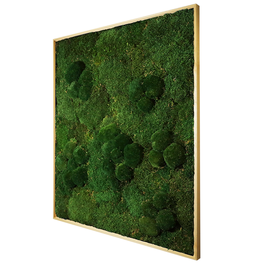 Mosschilderij Rechthoek Hout - Bol & Lappenmos