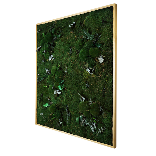 Mosschilderij Rechthoek Hout - Jungle Style Kalm