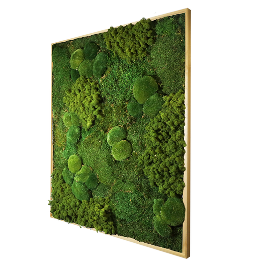 Mosschilderij Rechthoek Hout - Mos mix