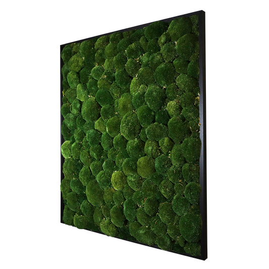 Mosschilderij Rechthoek Hout - Bolmos