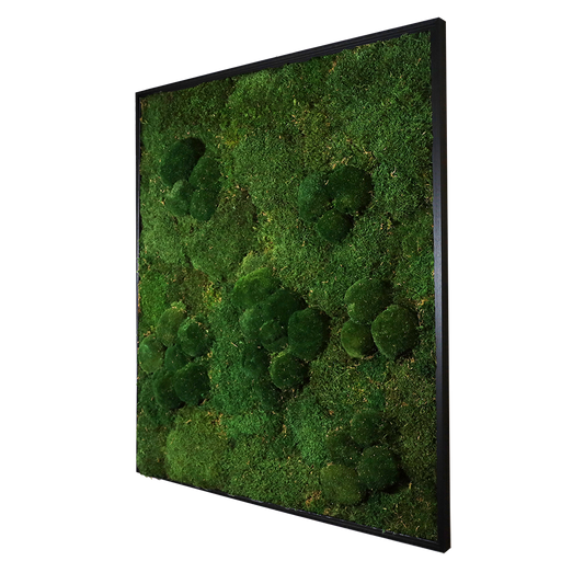 Mosschilderij Rechthoek Hout - Bol & Lappenmos