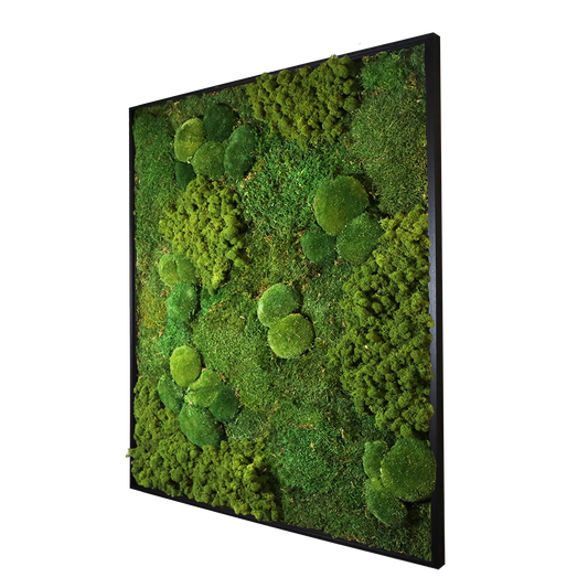 Mosschilderij Rechthoek Hout - Mos mix