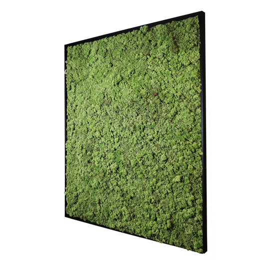 Mosschilderij Rechthoek Hout - Rendiermos