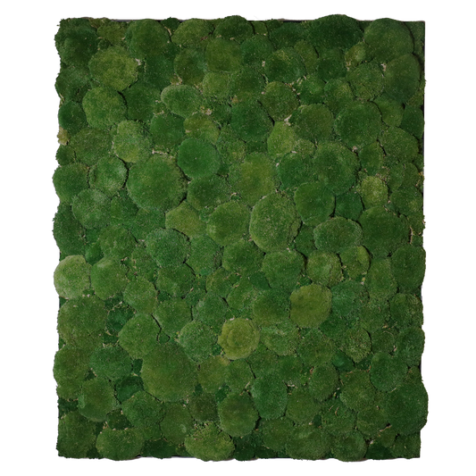 Mosschilderij Rechthoek Staal - Bolmos