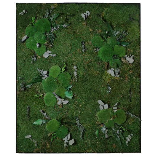 Mosschilderij Rechthoek Staal - Jungle Style Kalm