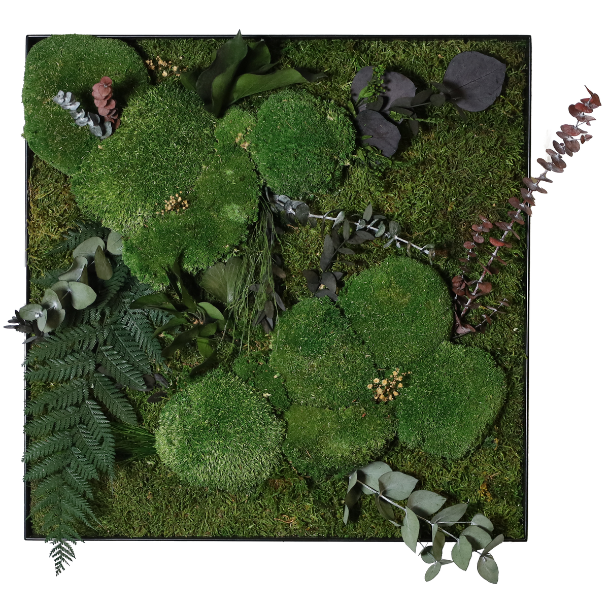 Mosschilderij Rechthoek Staal - Jungle Style Wild