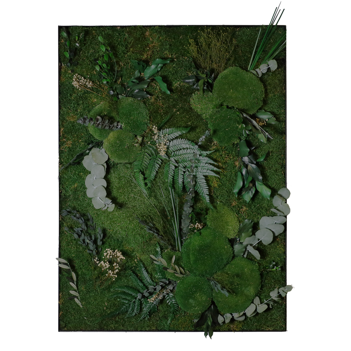 Mosschilderij Rechthoek Staal - Jungle Style Wild