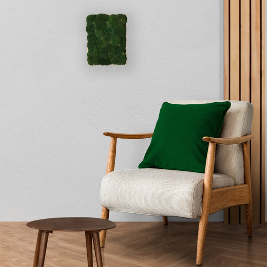 Mosschilderij Rechthoek Hout - Bolmos