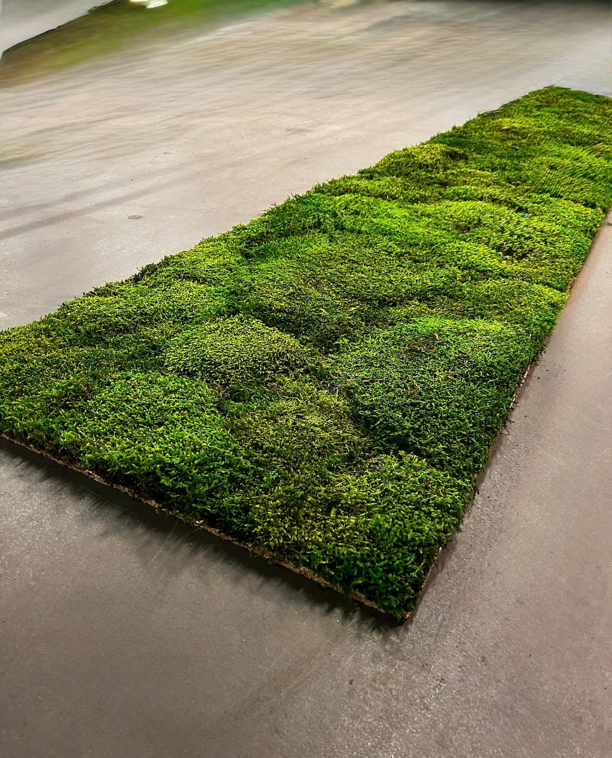 Uniek Product: Mospaneel 260 en 300 cm