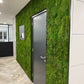 Uniek Product: Mospaneel 260 en 300 cm