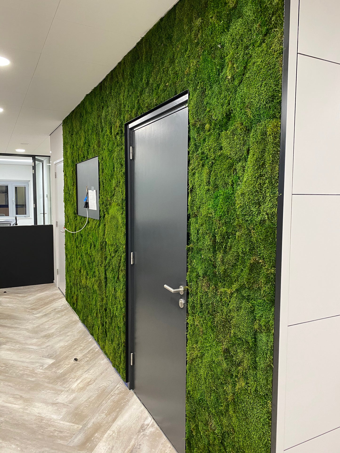 Uniek Product: Mospaneel 260 en 300 cm