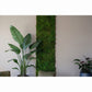 Uniek Product: Mospaneel 260 en 300 cm