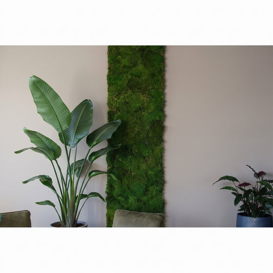 Uniek Product: Mospaneel 260 en 300 cm