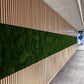 Uniek Product: Mospaneel 260 en 300 cm