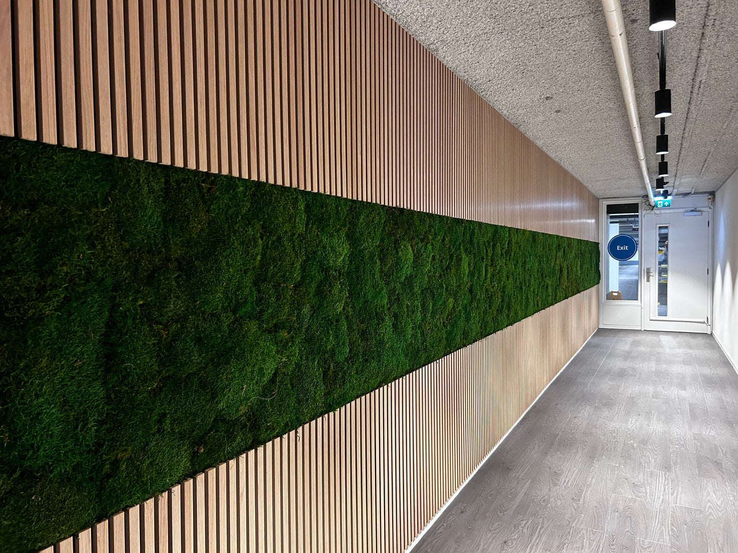 Uniek Product: Mospaneel 260 en 300 cm