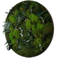 Mosschilderij Cirkel Staal - Jungle Style Wild