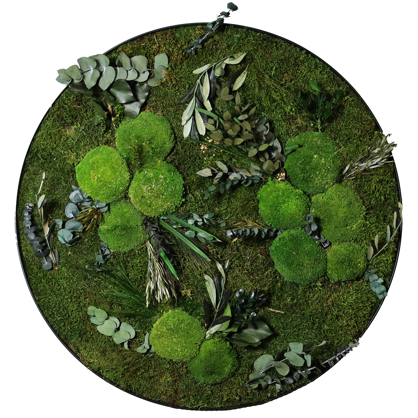 Mosschilderij Cirkel Staal - Jungle Style Wild