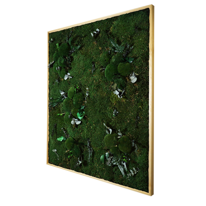 Mosschilderij Rechthoek Hout - Jungle Style Kalm