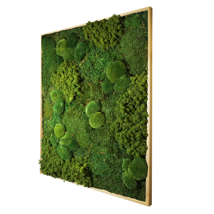Mosschilderij Rechthoek Hout - Mos mix