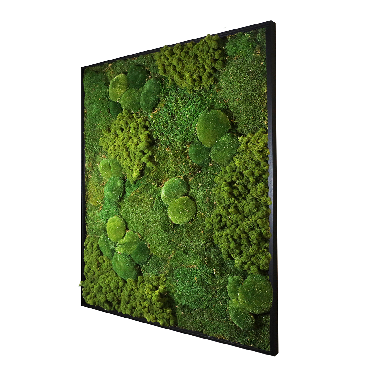 Mosschilderij Rechthoek Hout - Mos mix – De Verticale Tuinman Shop