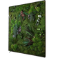 Mosschilderij Rechthoek Staal - Jungle Style Wild