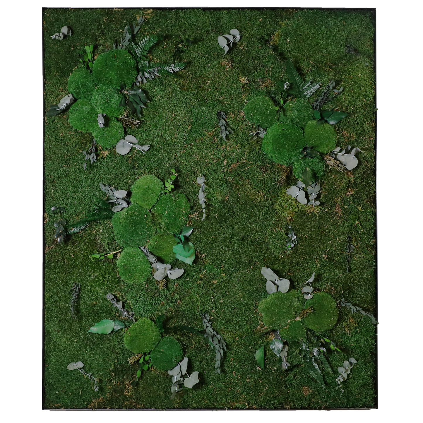 Mosschilderij Rechthoek Staal - Jungle Style Kalm