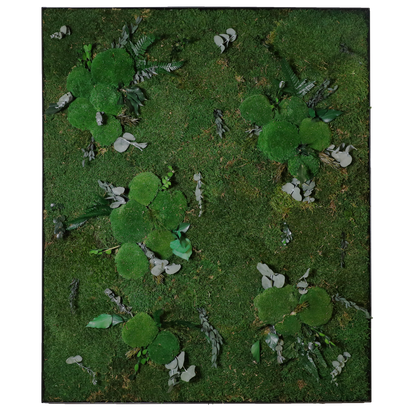 Mosschilderij Rechthoek Staal - Jungle Style Kalm