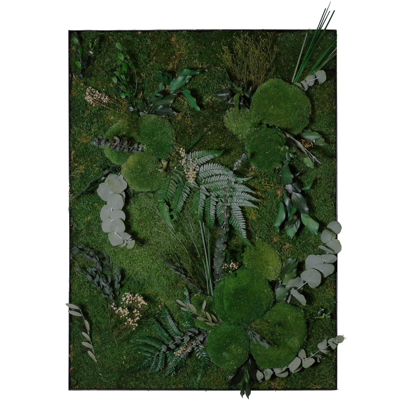 Mosschilderij Rechthoek Staal - Jungle Style Wild